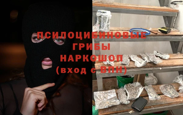 бошки Абаза